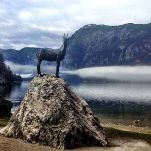 Spomenik kozoroga v Bohinju